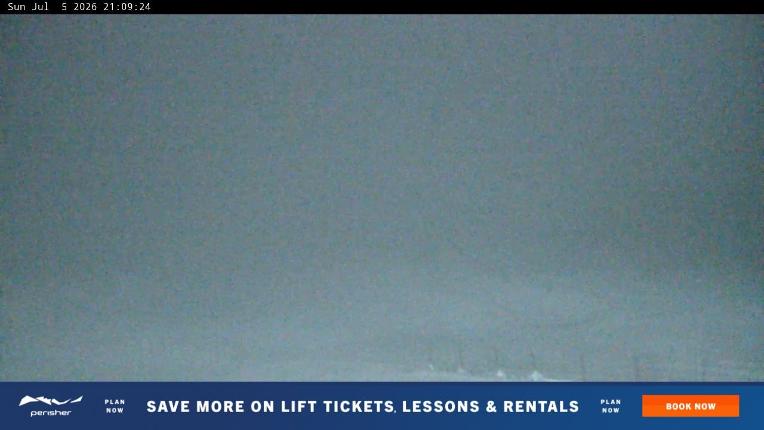 Webcam Perisher: Blue cow