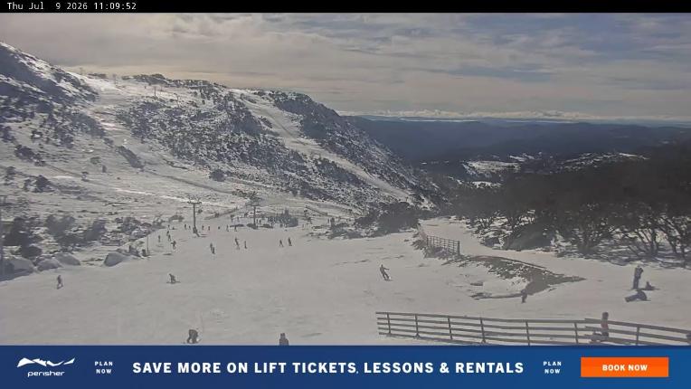 Webcam Perisher: Blue cow
