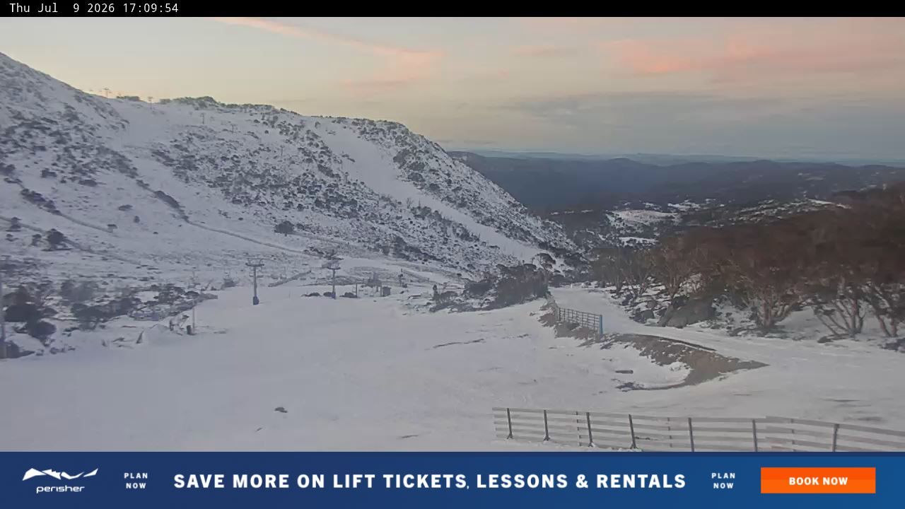 Webcam Perisher: Blue cow