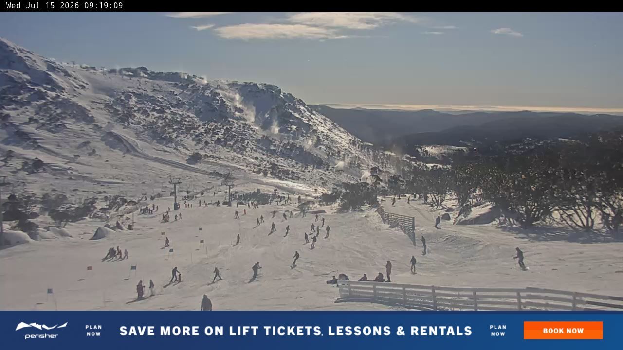 Webcam Perisher: Blue cow