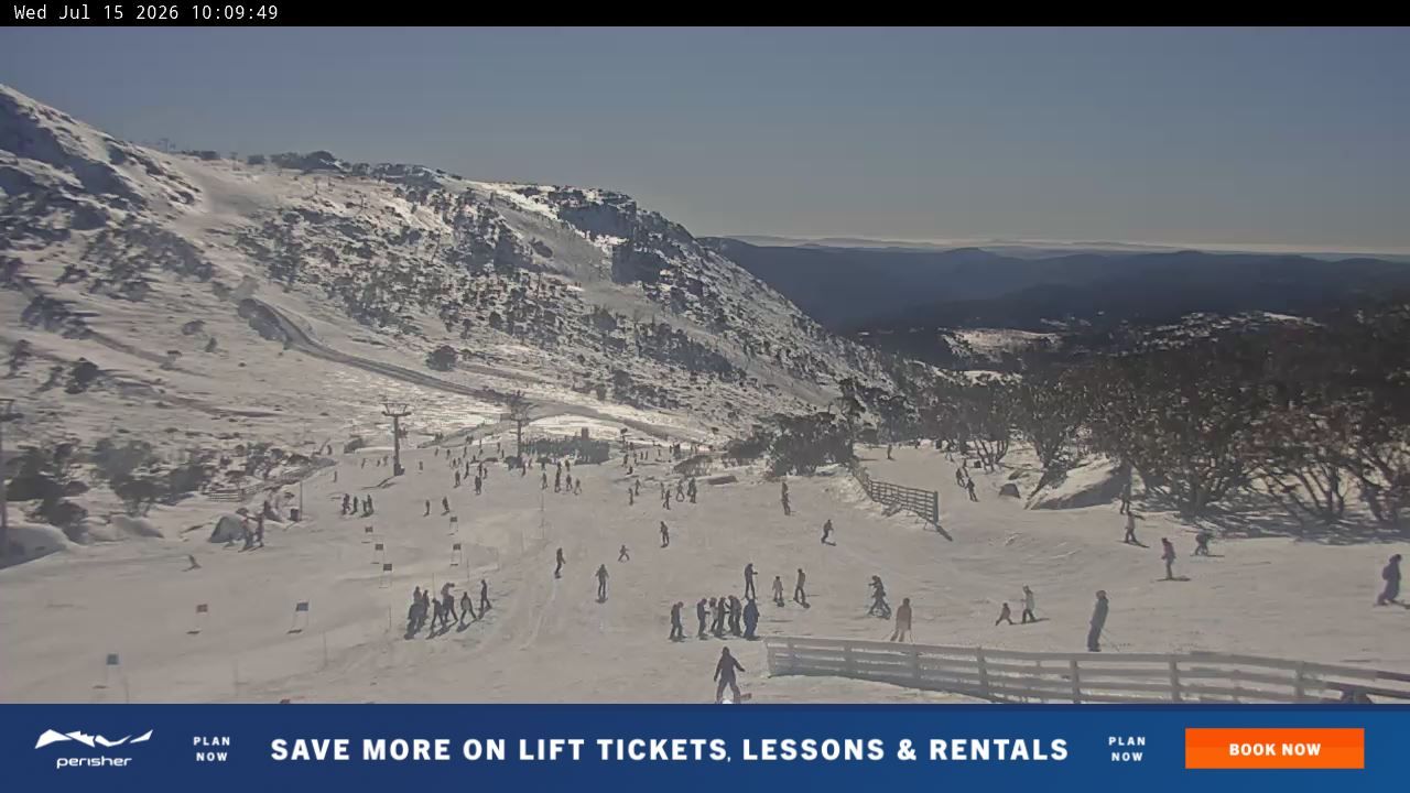 Webcam Perisher: Blue cow