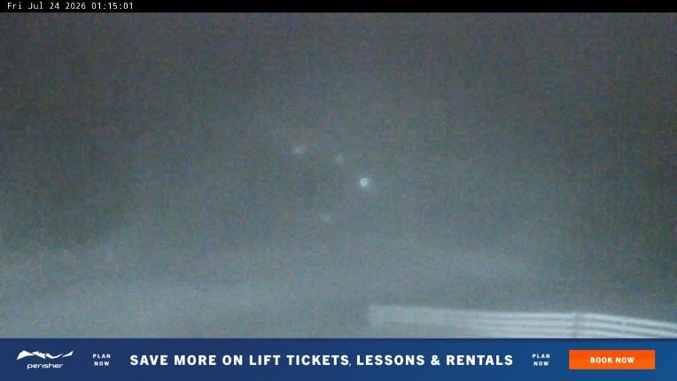 Webcam Perisher: Blue cow