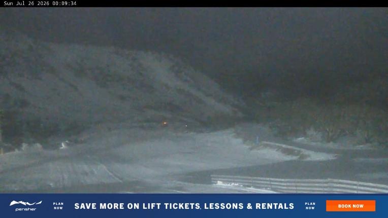 Webcam Perisher: Blue cow