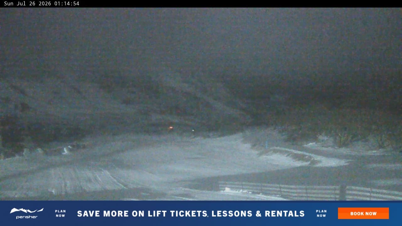 Webcam Perisher: Blue cow