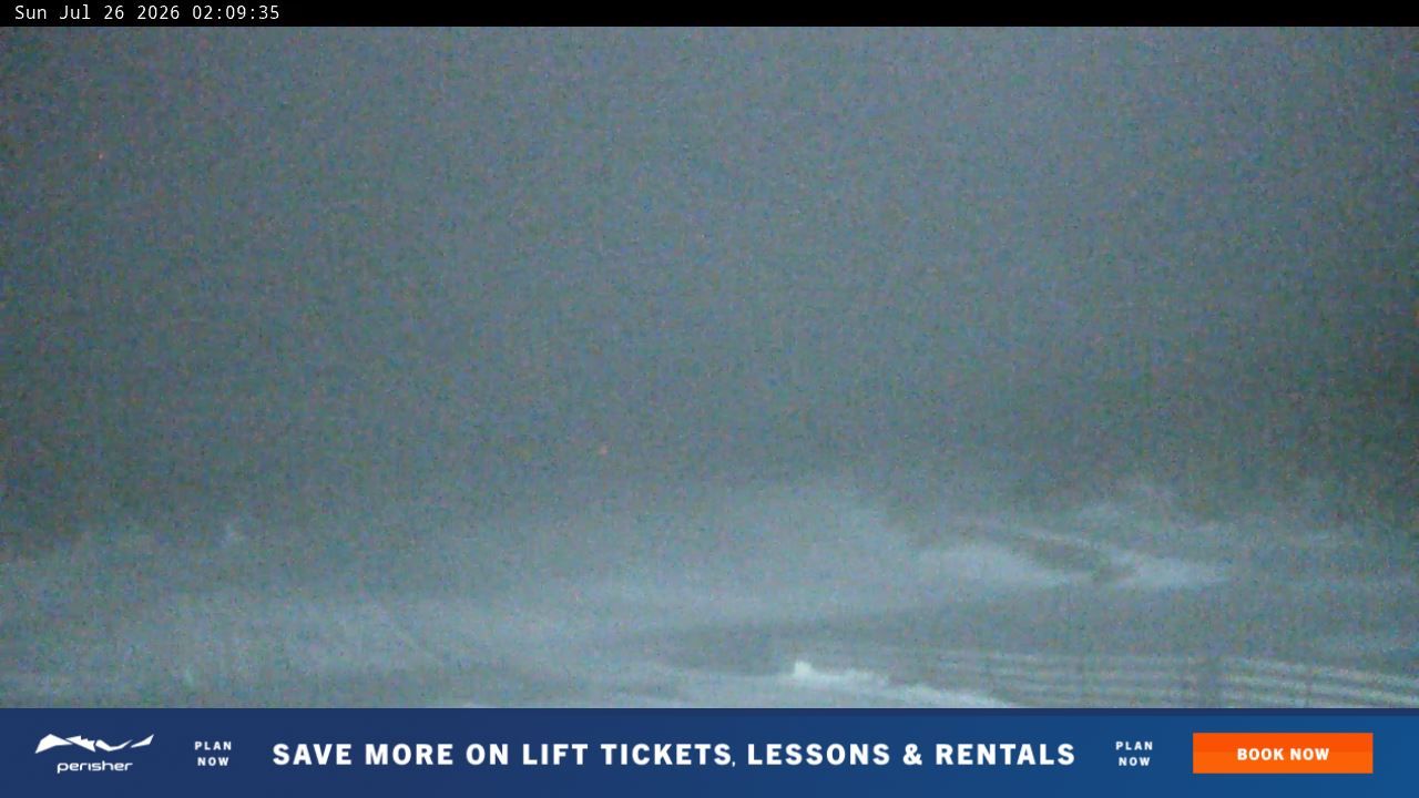 Webcam Perisher: Blue cow