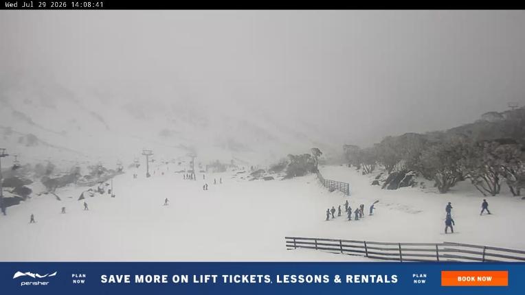 Webcam Perisher: Blue cow