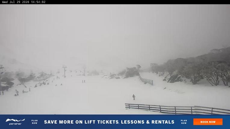 Webcam Perisher: Blue cow