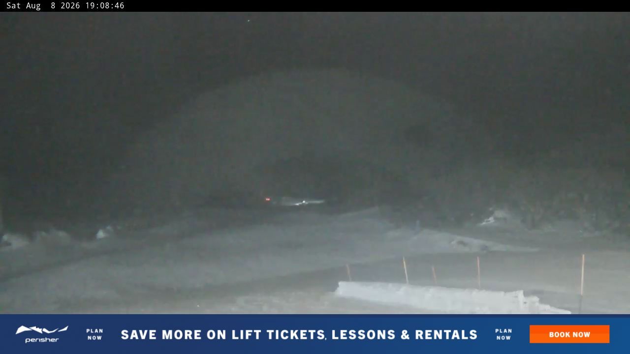 Webcam Perisher: Blue cow