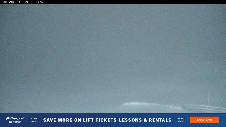 Webcam Perisher: Blue cow
