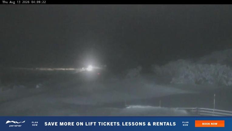 Webcam Perisher: Blue cow