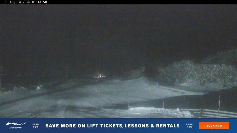 Webcam Perisher: Blue cow