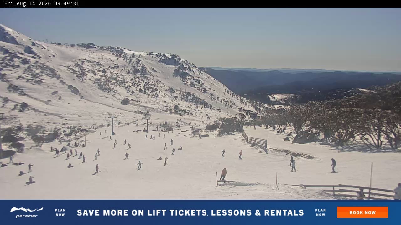 Webcam Perisher: Blue cow