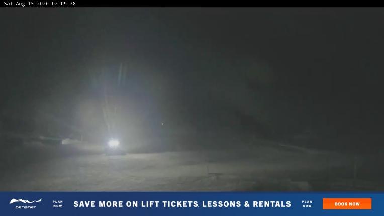Webcam Perisher: Blue cow