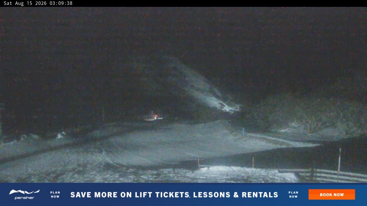 Webcam Perisher: Blue cow