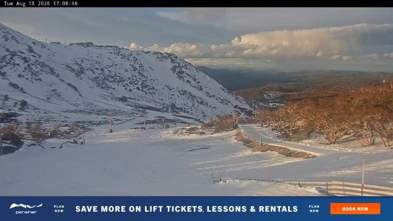 Webcam Perisher: Blue cow