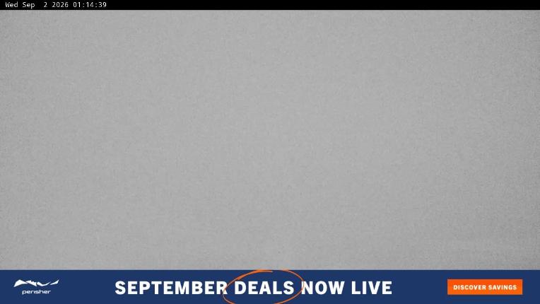 Webcam Perisher: Blue cow