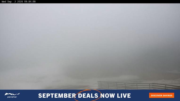 Webcam Perisher: Blue cow