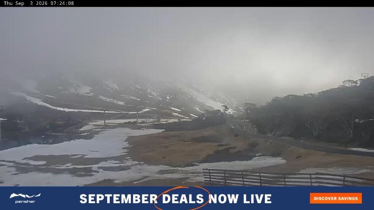 Webcam Perisher: Blue cow