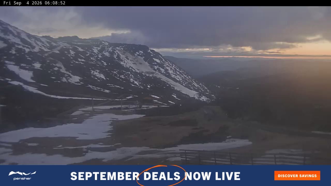 Webcam Perisher: Blue cow