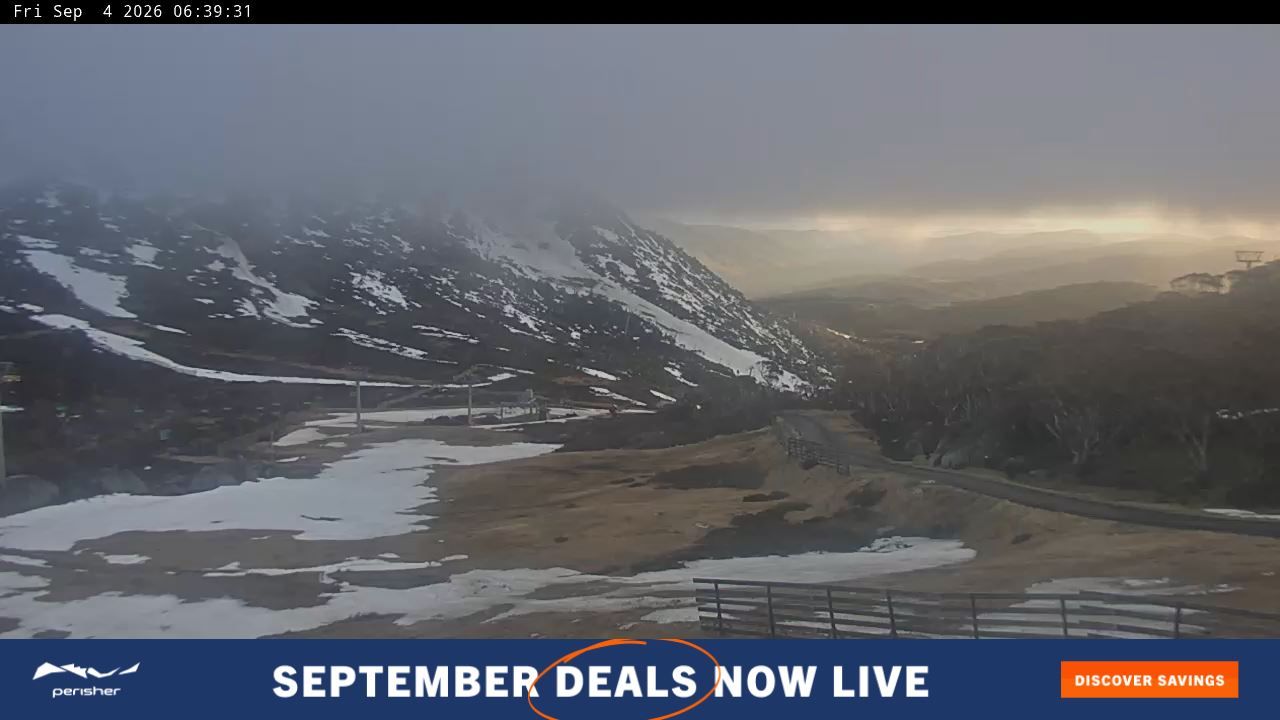 Webcam Perisher: Blue cow