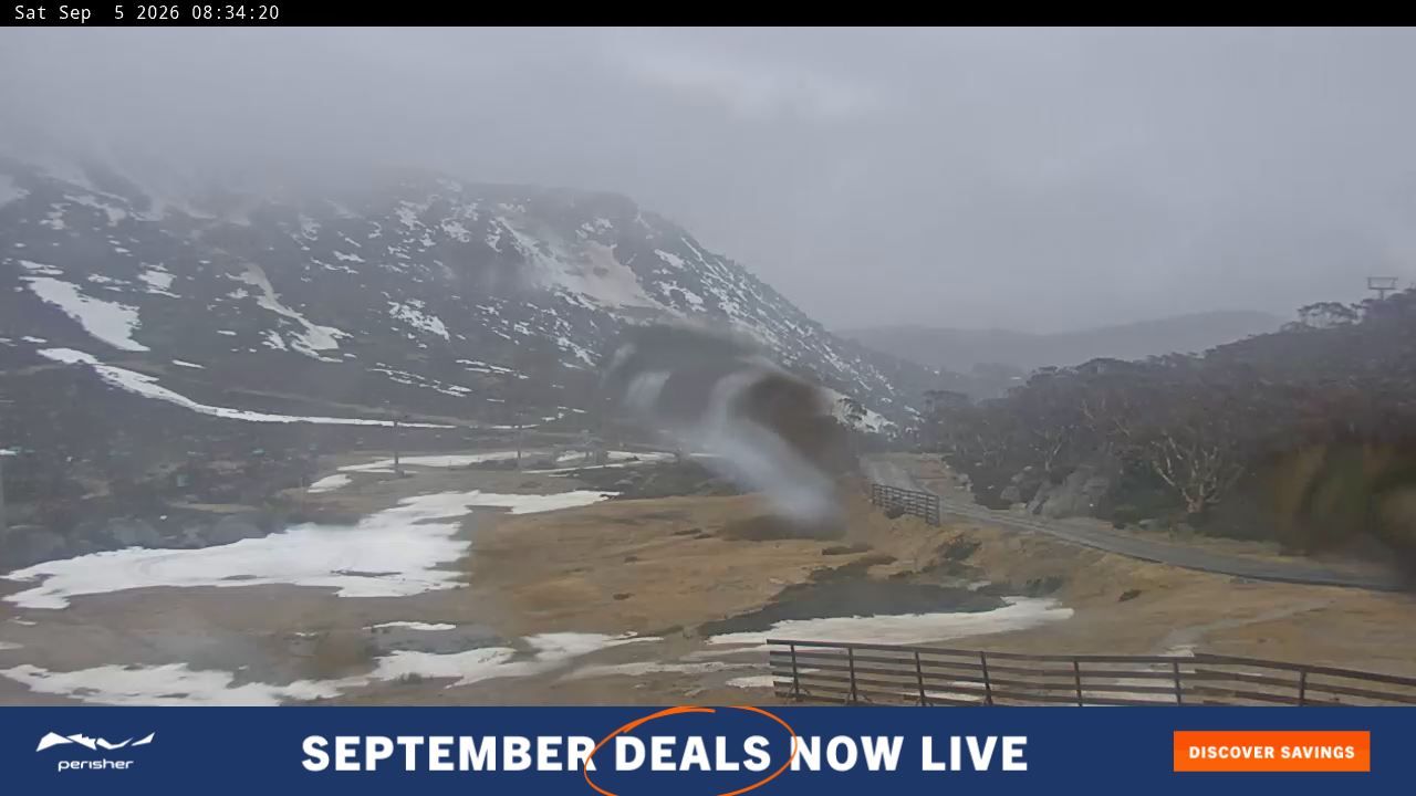 Webcam Perisher: Blue cow