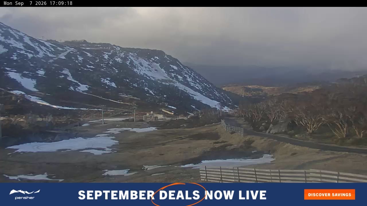 Webcam Perisher: Blue cow