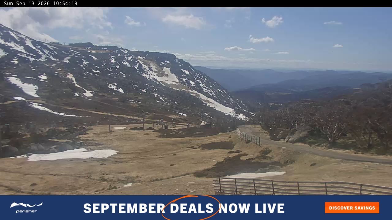 Webcam Perisher: Blue cow