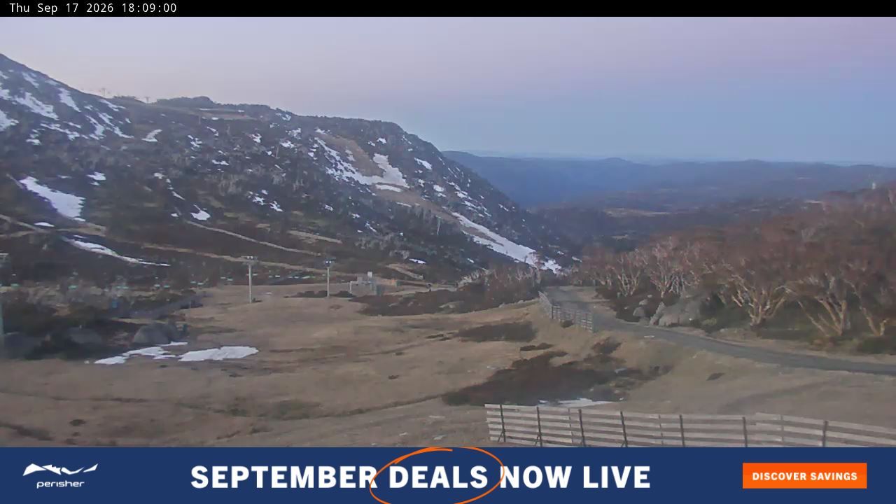 Webcam Perisher: Blue cow