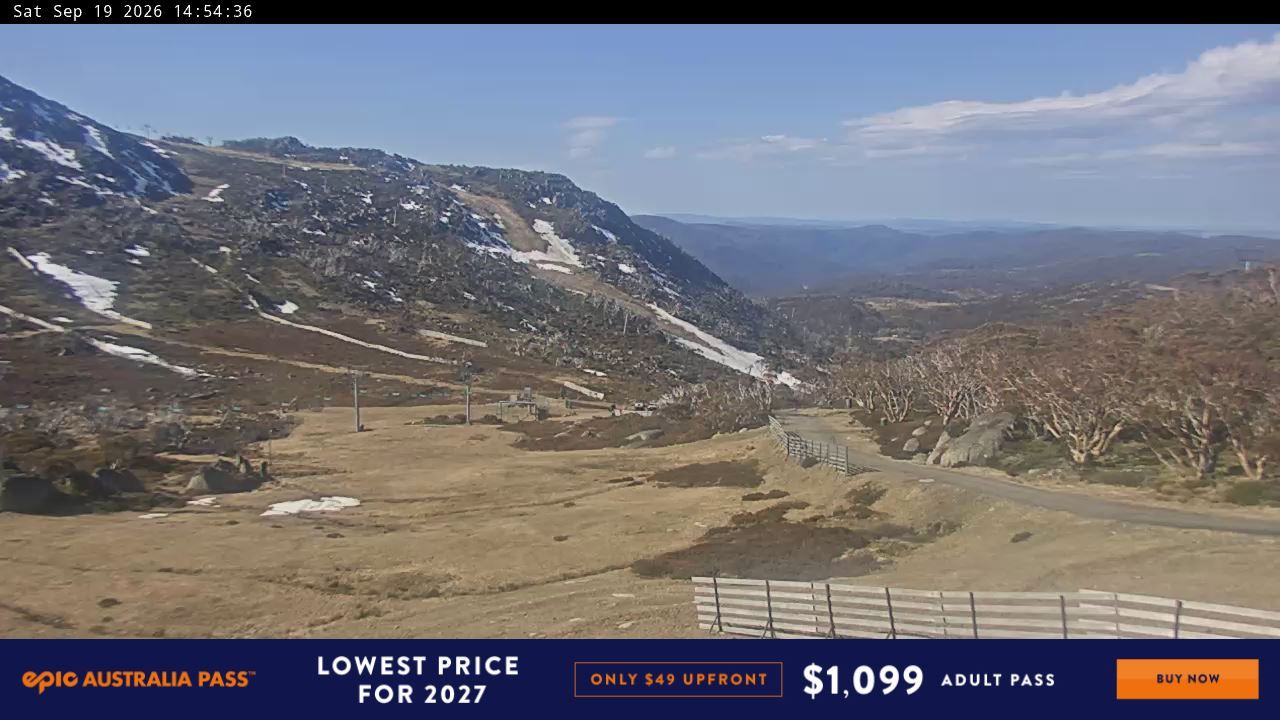 Webcam Perisher: Blue cow