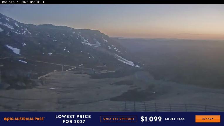 Webcam Perisher: Blue cow