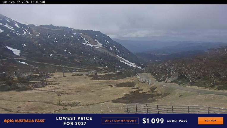 Webcam Perisher: Blue cow