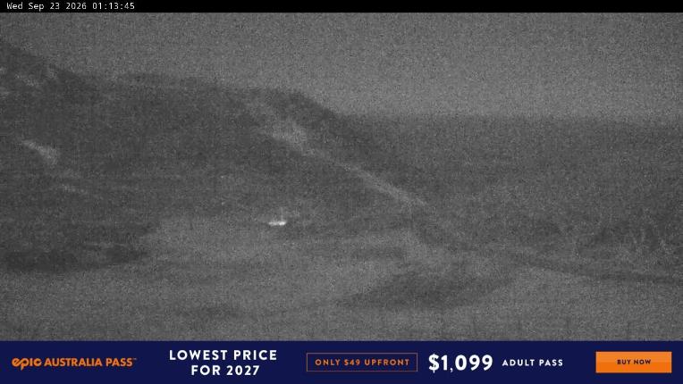 Webcam Perisher: Blue cow