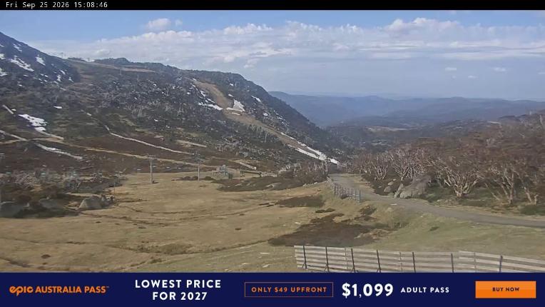 Webcam Perisher: Blue cow