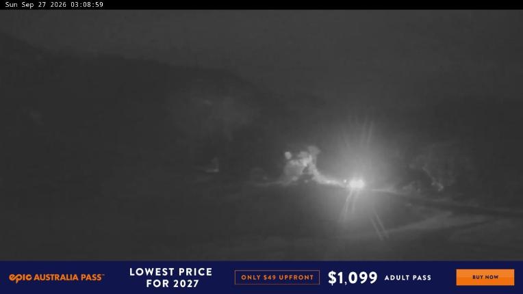 Webcam Perisher: Blue cow
