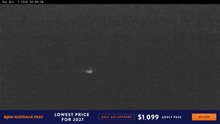 Webcam Perisher: Blue cow