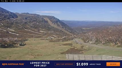Perisher: Blue cow (perisher.com.au)