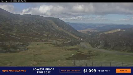 Perisher: Blue cow (perisher.com.au)