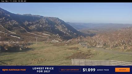 Perisher: Blue cow (perisher.com.au)
