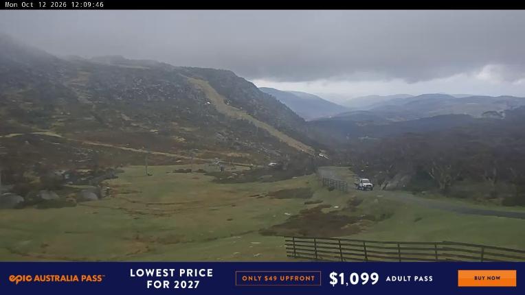 Webcam Perisher: Blue cow