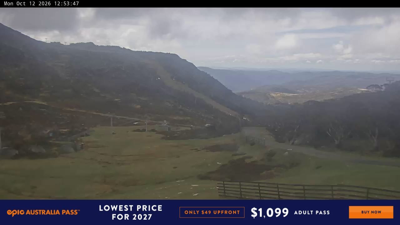 Webcam Perisher: Blue cow