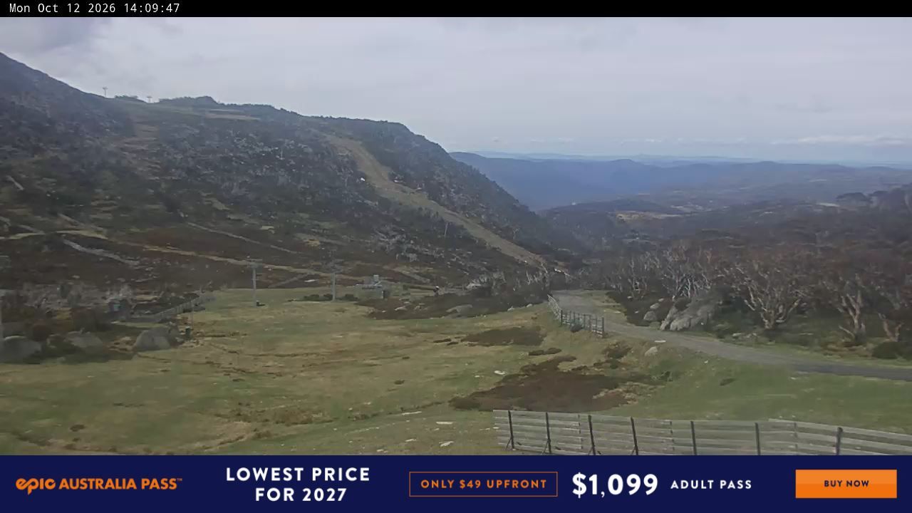 Webcam Perisher: Blue cow