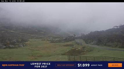 Perisher: Blue cow (perisher.com.au)