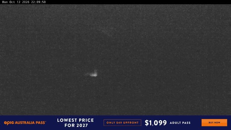 Webcam Perisher: Blue cow