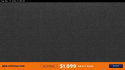 Perisher: Blue cow (perisher.com.au)