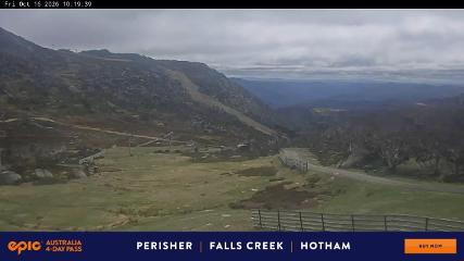 Perisher: Blue cow (perisher.com.au)