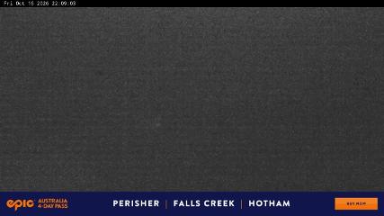 Perisher: Blue cow (perisher.com.au)