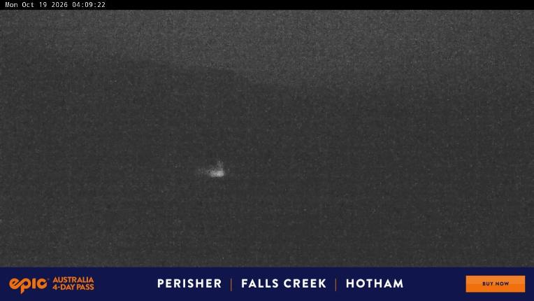 Webcam Perisher: Blue cow