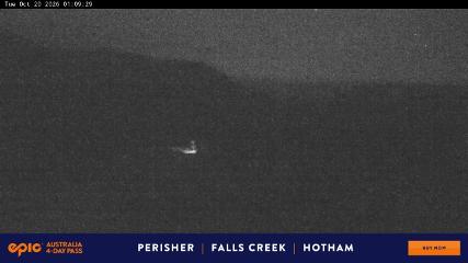 Perisher: Blue cow (perisher.com.au)