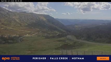 Perisher: Blue cow (perisher.com.au)