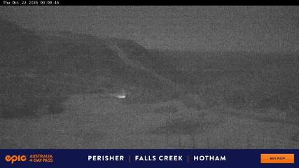 Perisher: Blue cow (perisher.com.au)